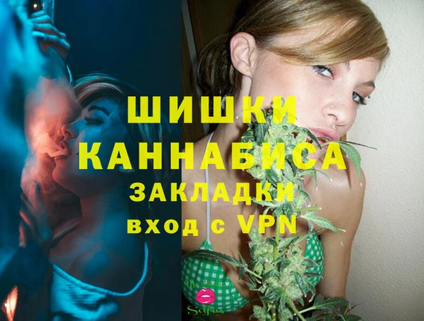 индика Алзамай