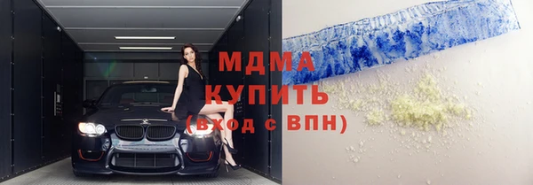 индика Алзамай