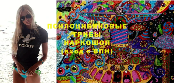 индика Алзамай